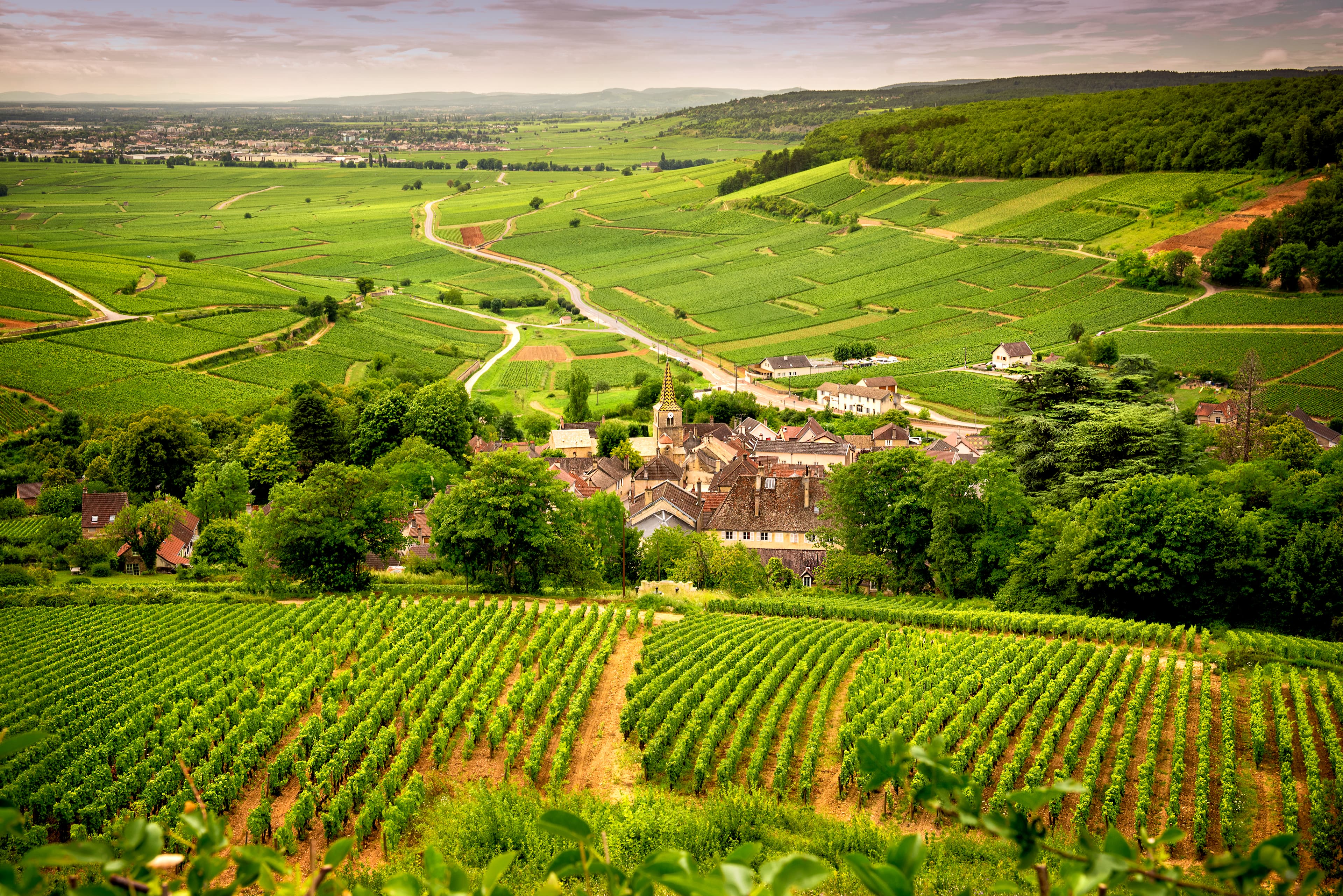 Burgundy, a panoramic road that crosses the wine region and makes us know the major producers and their vineyards next to Corton, France.