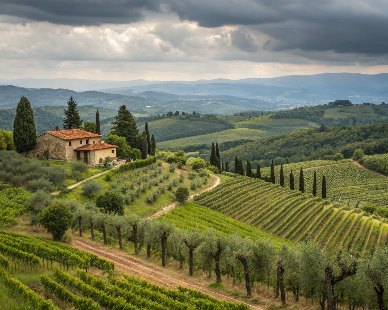 Tuscany vineyard landscape