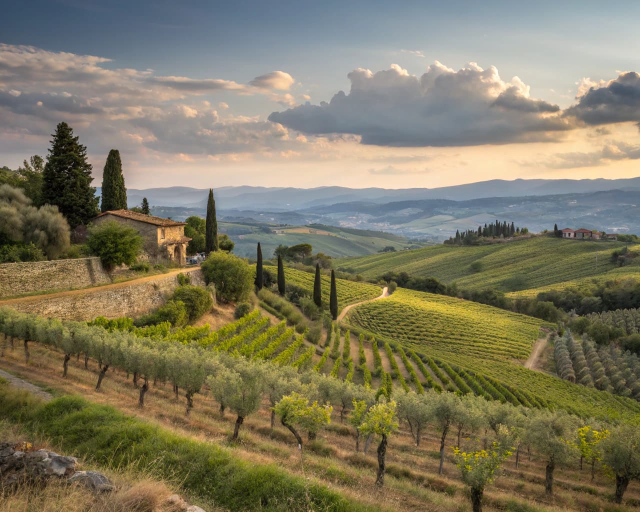 Tuscany vineyard landscape