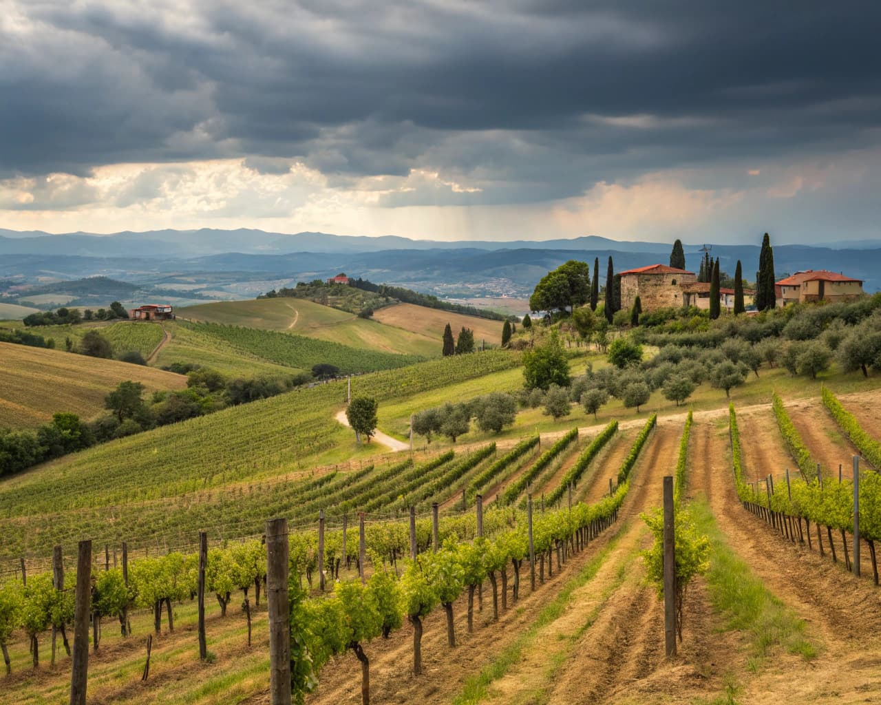 Tuscany vineyard landscape