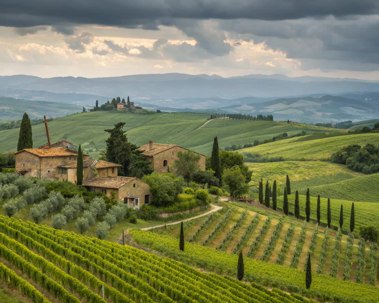 Tuscany vineyard landscape