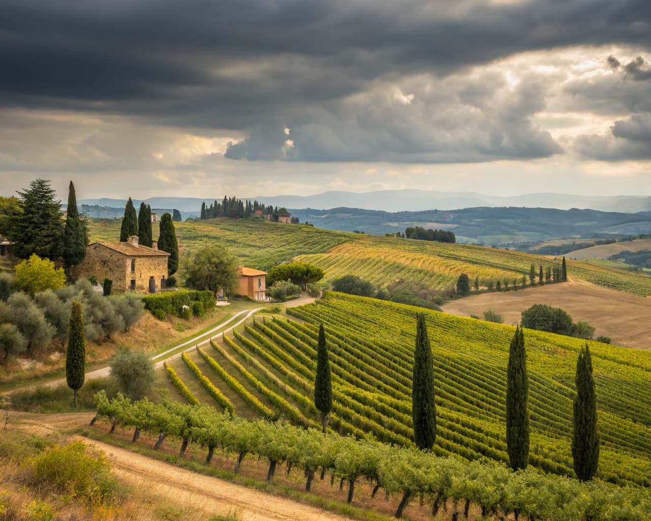 Tuscany vineyard landscape