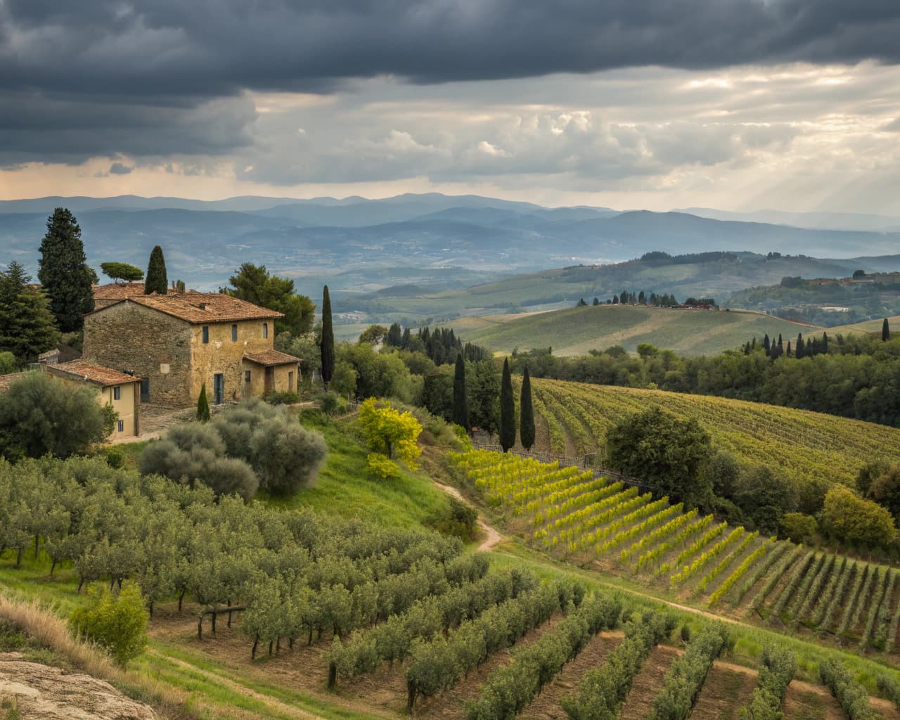 Tuscany vineyard landscape