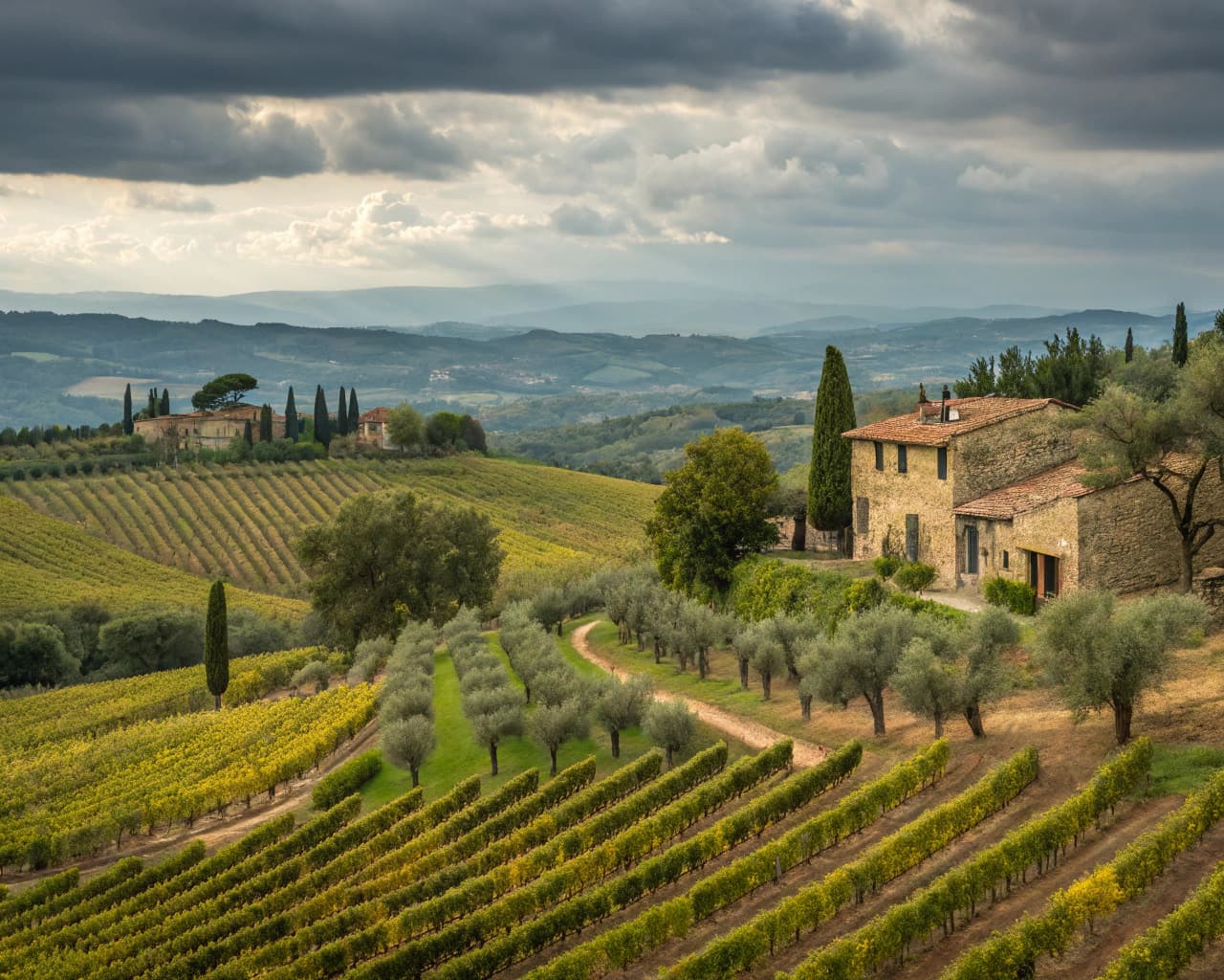 Tuscany vineyard landscape