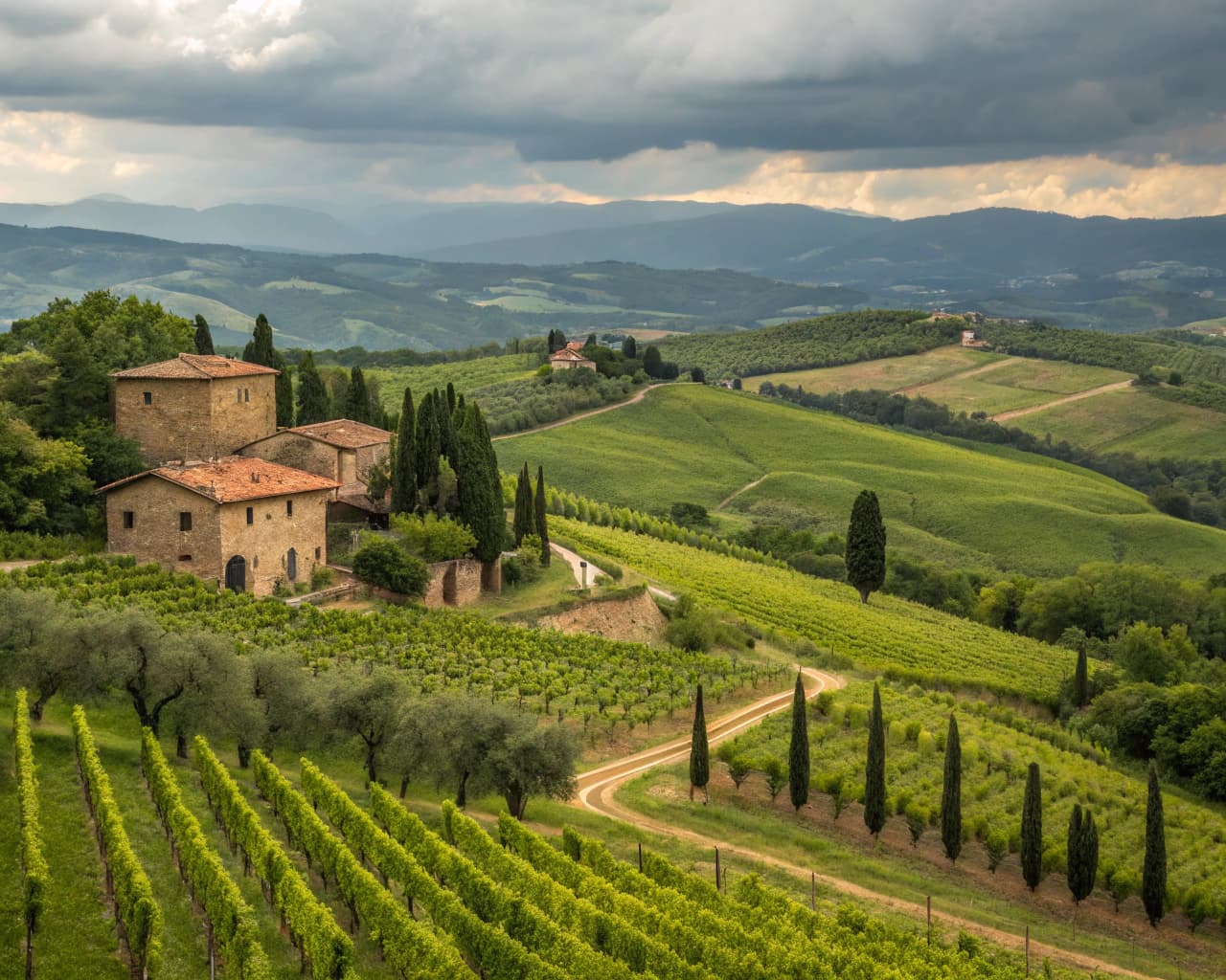 Tuscany vineyard landscape