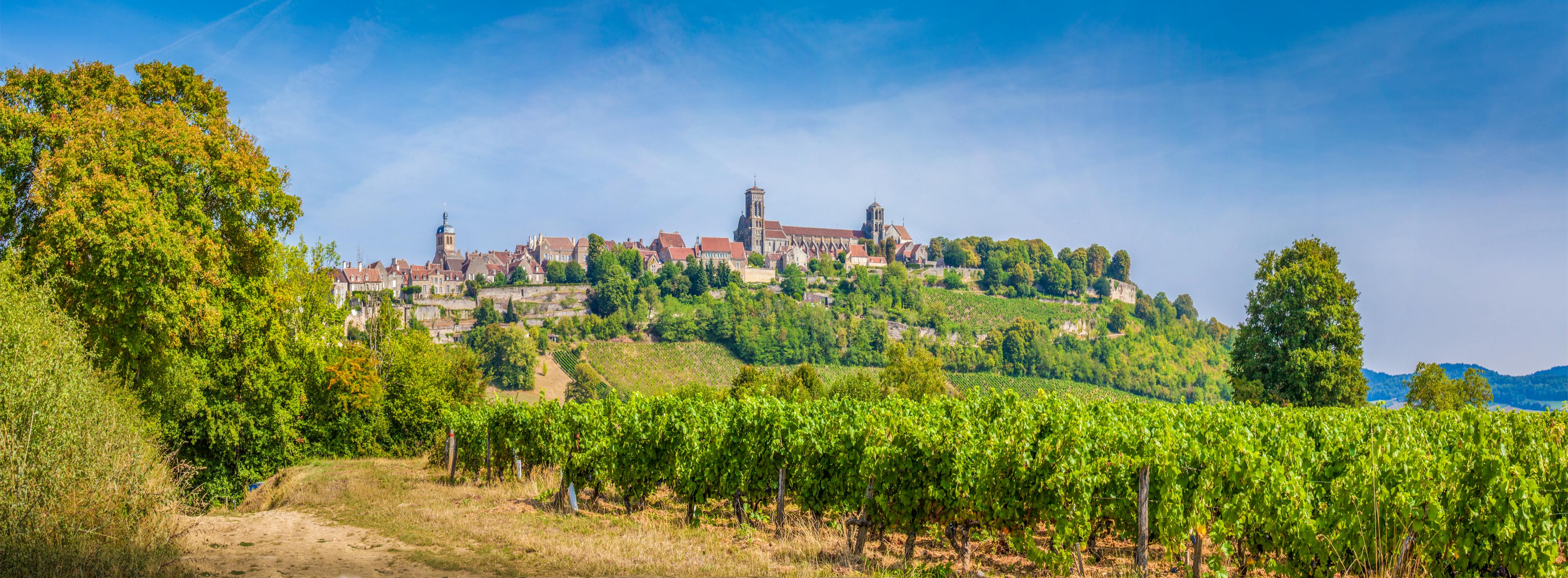 Panoramic view of the historic town of Vezelay with famous Abbaye Sainte-Marie-Madeleine de Vezelay), a UNESCO World Heritage site since 1979, on top of a hill, Yonne department, Burgundy, France.