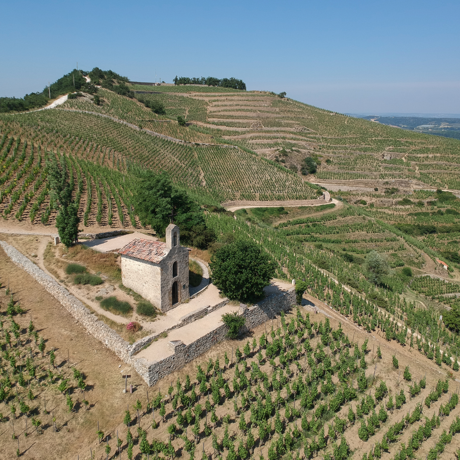 Drone view of the vineyards of Tain L'Hermitage Rhone Valley Auvergne-Rhône-Alpes France