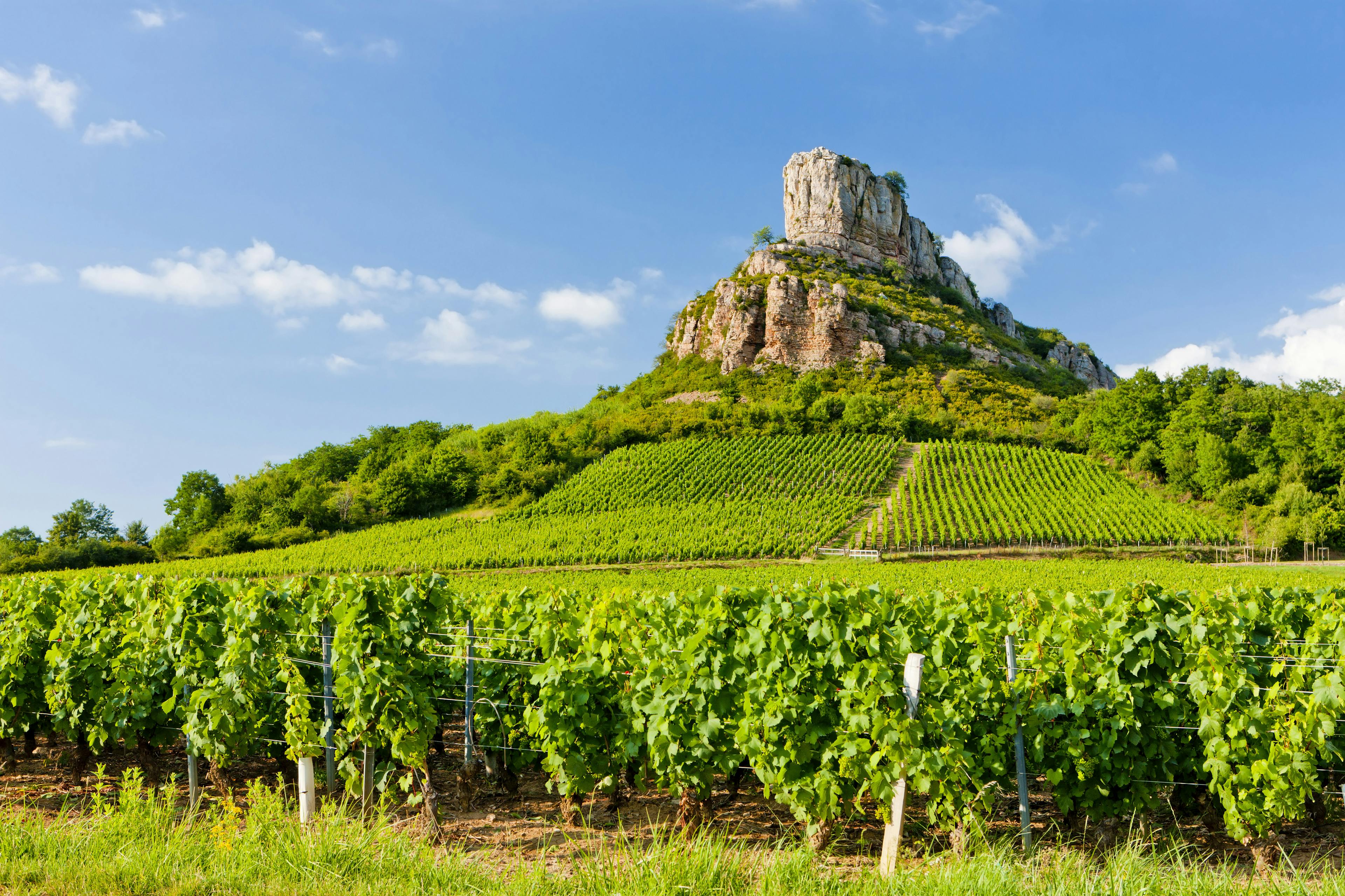 Rock of Solutre with the Pouilly-fuisse vineyards, Burgundy, France.